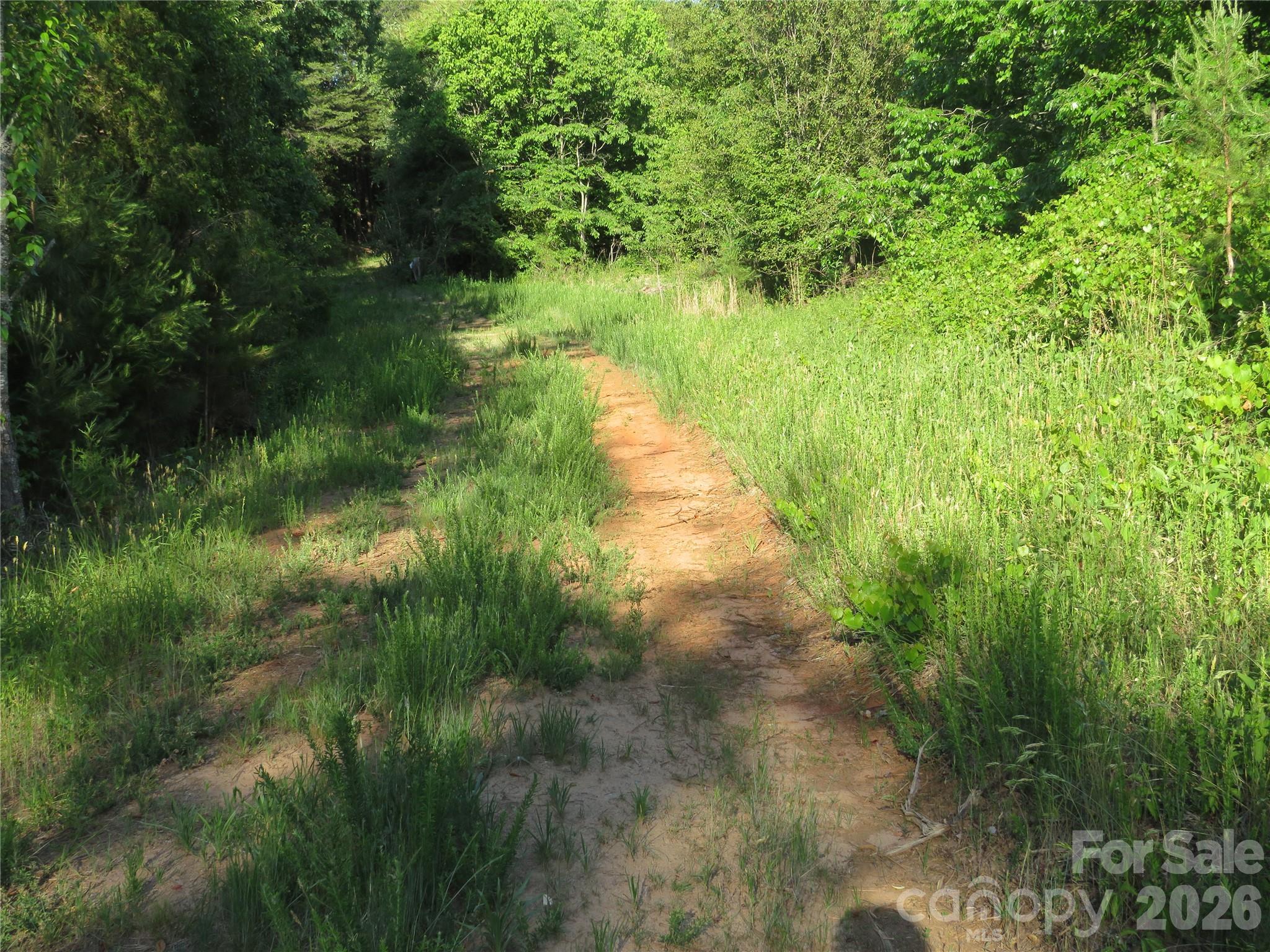 262 Flat Rock Road Forest City, NC 28043 - Photo 23 of 41