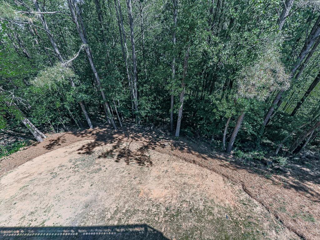 9060 New High Tower Road Ball Ground, GA 30107 - Photo 50 of 72