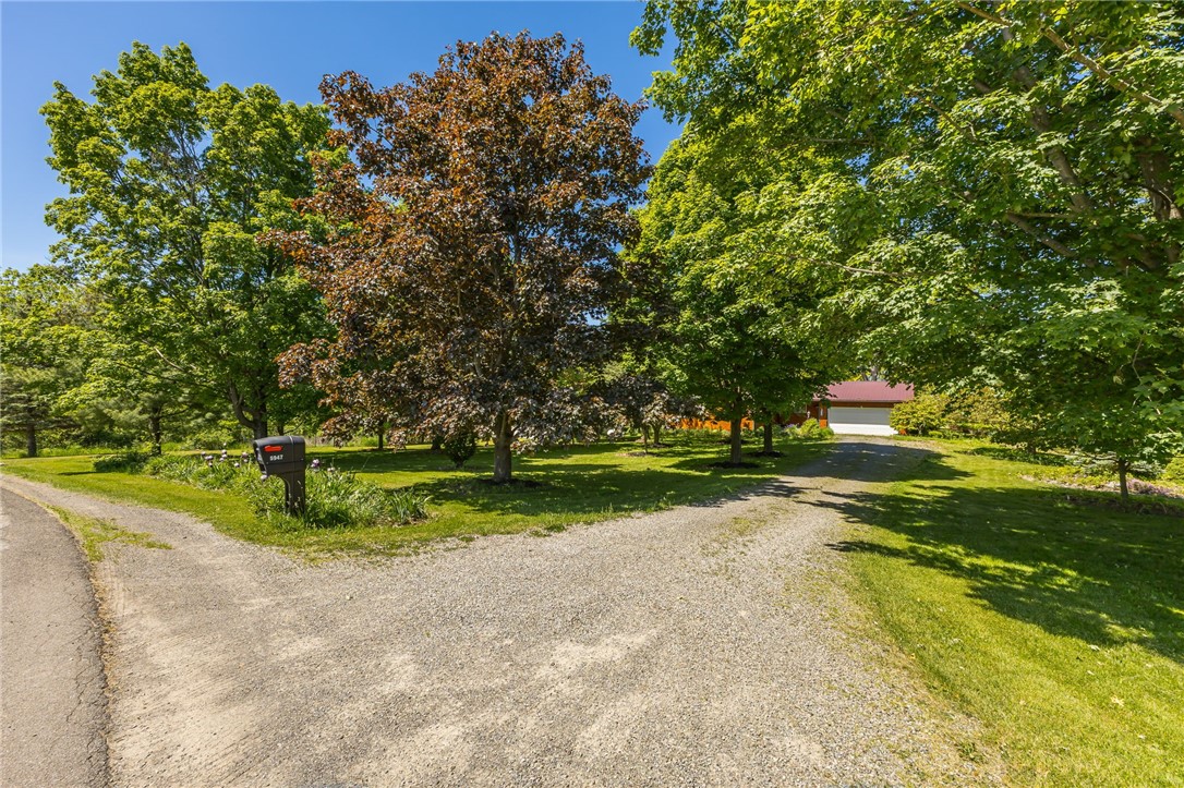 5947 Harter Road Dansville, NY 14437 - Photo 4 of 50