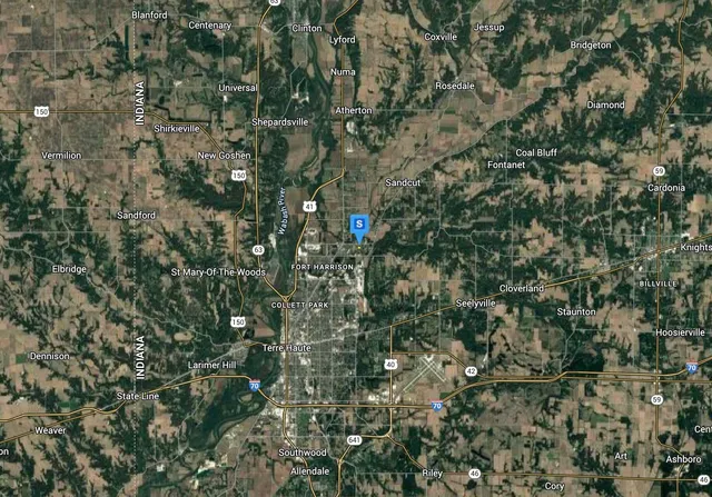 a close up of a tree