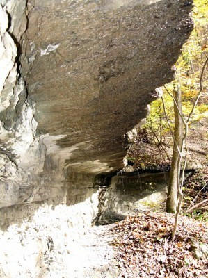 100 Duncan Branch Rd Green Meadow Bridge, WV 25976 - Photo 4 of 20 Gallery Image 4