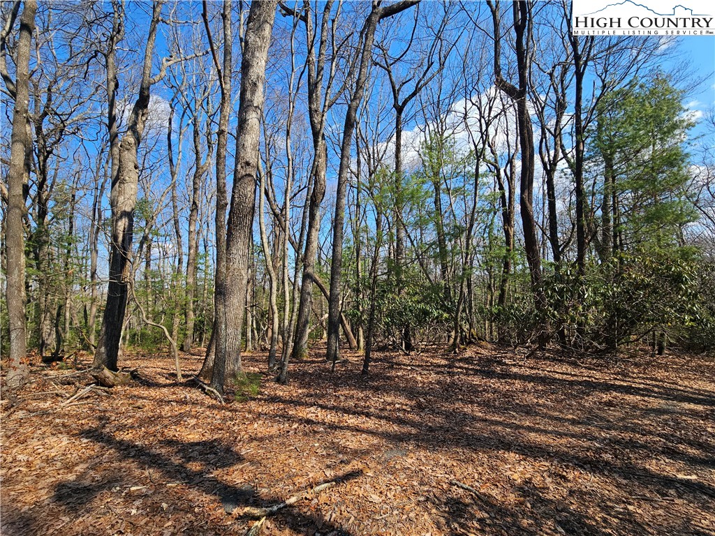 Mount Retreat Road Glade Valley, NC 28627 - Photo 10 of 16
