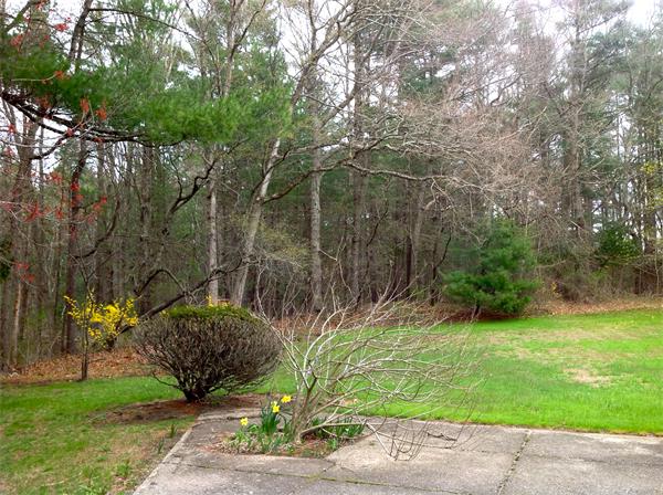 120 Karen Road Hanover, MA 02339 - Photo 19 of 28 Gallery Image 19
