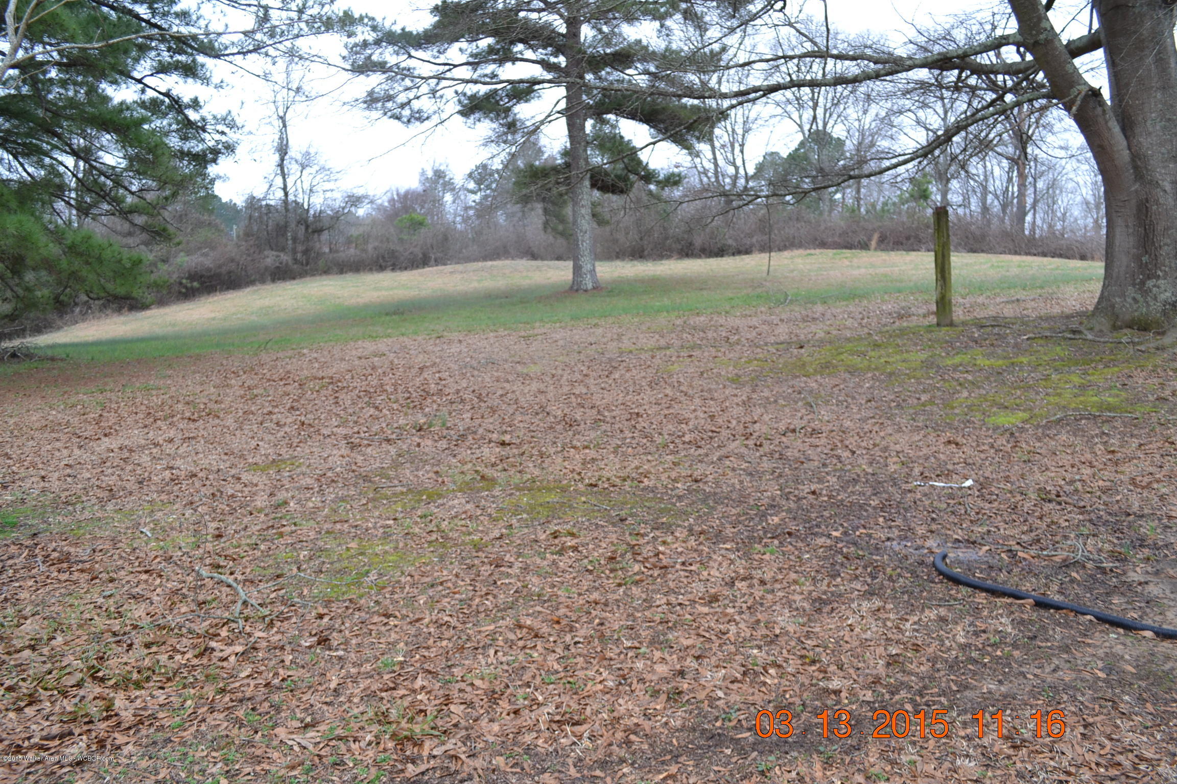 3267 Redmill Saragossa Road Nauvoo, AL 35578 - Photo 6 of 14 Gallery Image 6