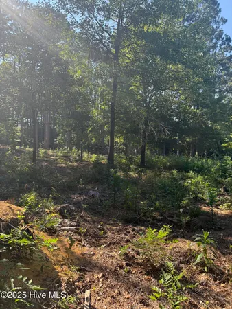 $59,900 | Tbd Stephanie Street, Southern Pines, NC 28387