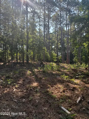 $69,900 | Tbd Stephanie Street, Southern Pines, NC 28387