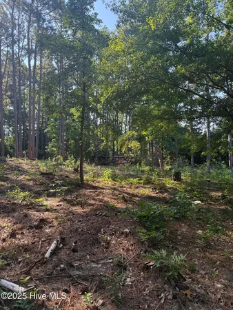 $59,900 | Tbd Stephanie Street, Southern Pines, NC 28387