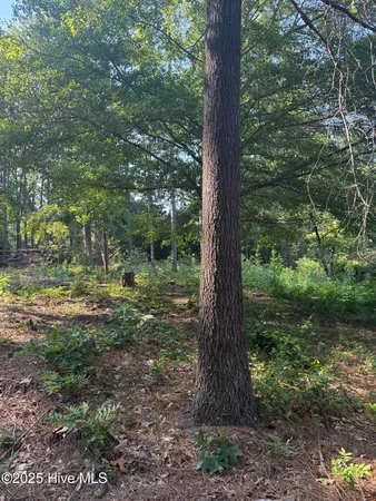 $59,900 | Tbd Stephanie Street, Southern Pines, NC 28387