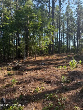 $59,900 | Tbd Stephanie Street, Southern Pines, NC 28387