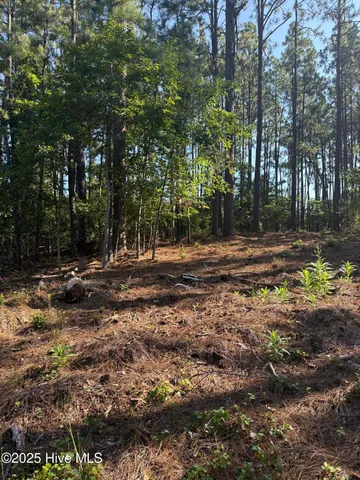 $69,900 | Tbd Stephanie Street, Southern Pines, NC 28387