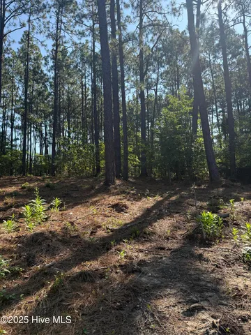 $69,900 | Tbd Stephanie Street, Southern Pines, NC 28387