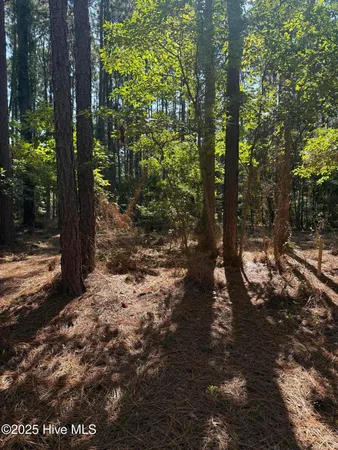 $59,900 | Tbd Stephanie Street, Southern Pines, NC 28387