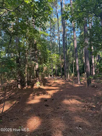 $59,900 | Tbd Stephanie Street, Southern Pines, NC 28387