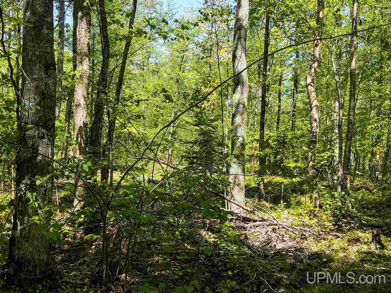 Tbd-parcel Point Abbaye Road Lanse, MI 49946 - Photo 10 of 25