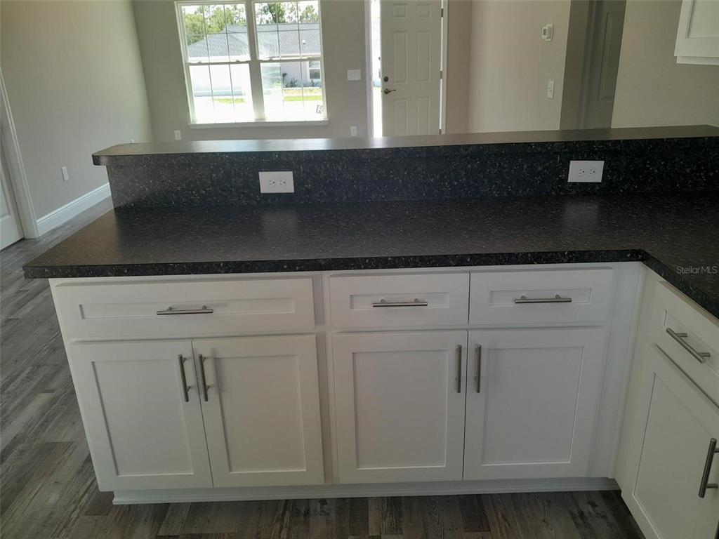 105 Fisher Road Ocklawaha, FL 32179 - Photo 4 of 12