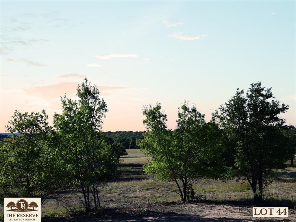 Lot 44 Colt Road Springtown, TX 76082 - Photo 2 of 8 a view of a city with lush green forest