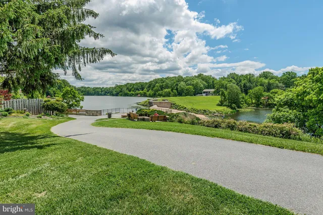 a view of a big yard with potted plants and a big yard