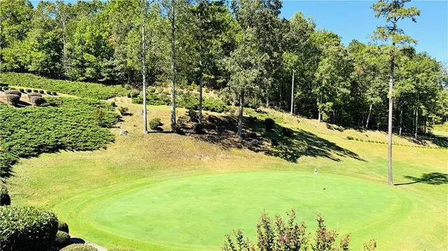 a view of a yard with an outdoor space