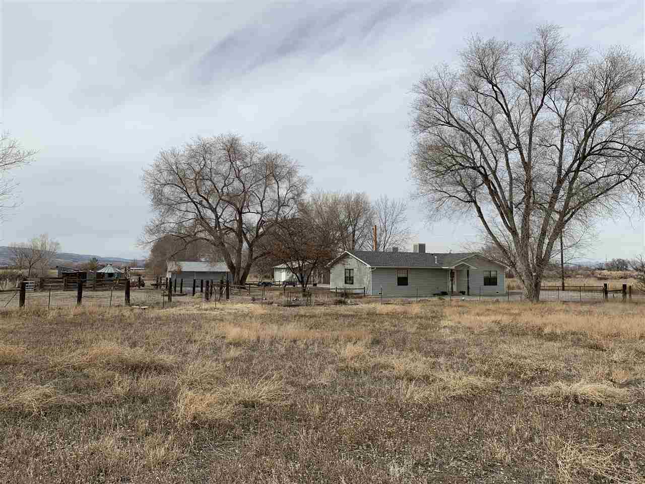 965-19 19 1/2 Road Fruita, CO 81521 - Photo 16 of 30 a view of a yard with a house