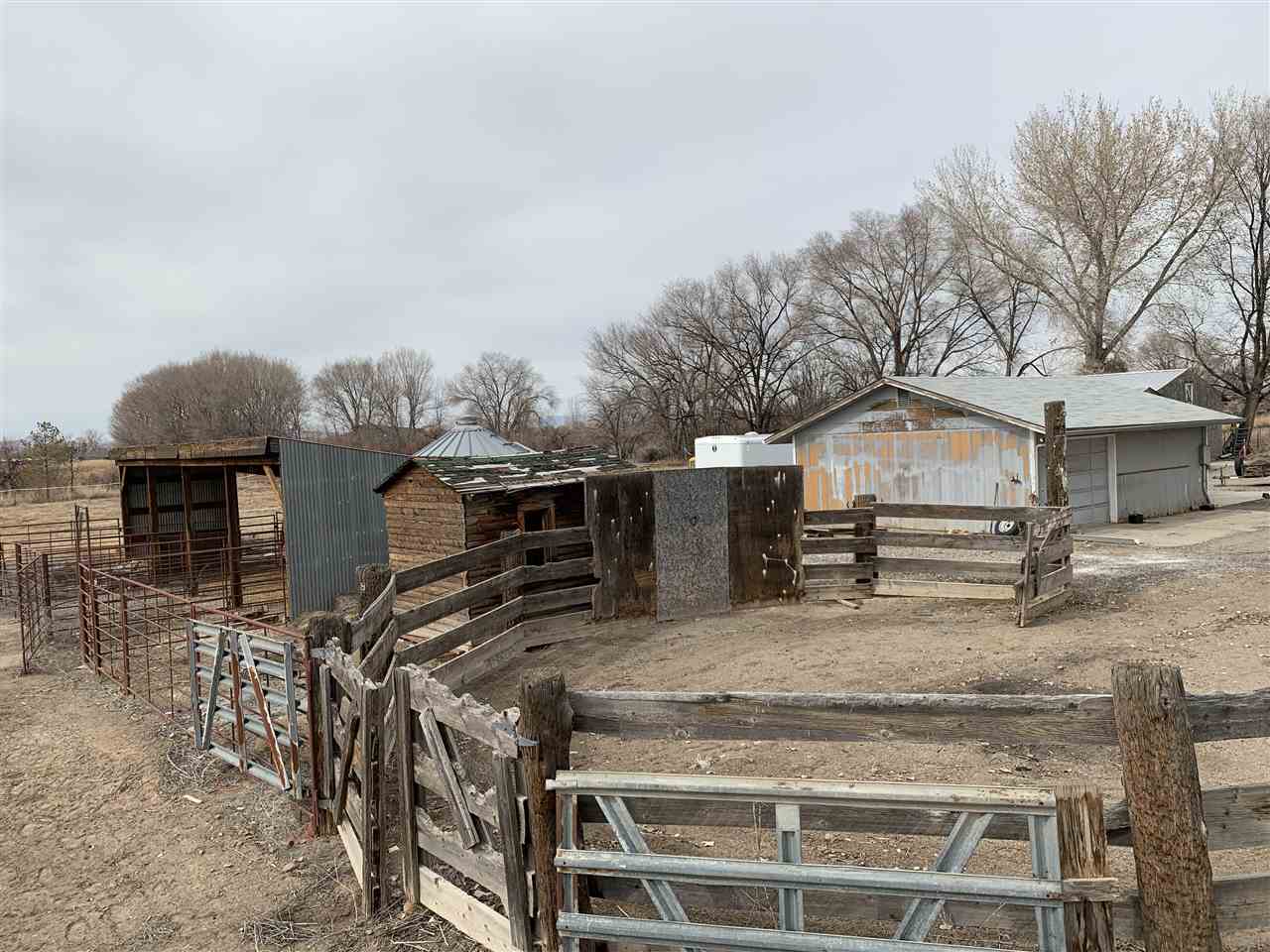 965-19 19 1/2 Road Fruita, CO 81521 - Photo 8 of 30 a view of a house with backyard