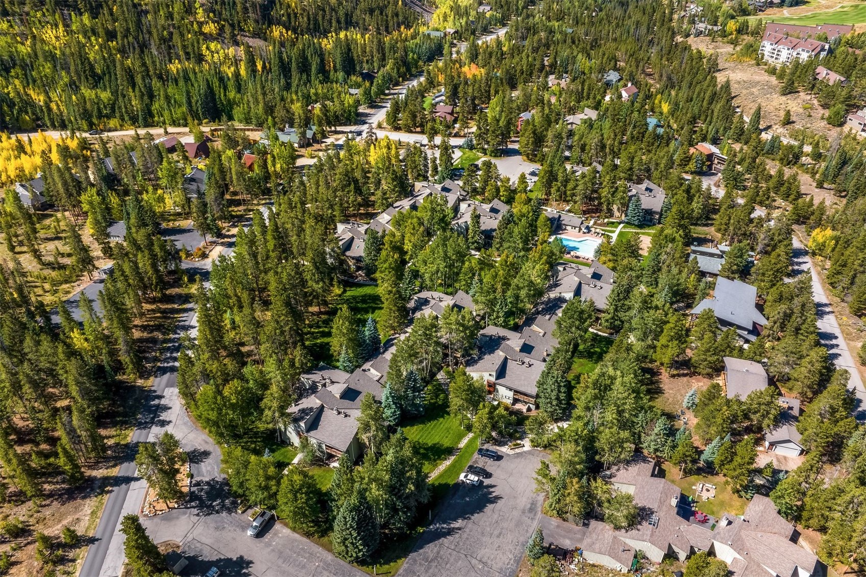 1977 Soda Ridge Road, Unit 1194 Keystone, CO 80435 - Photo 42 of 44 a view of a garden