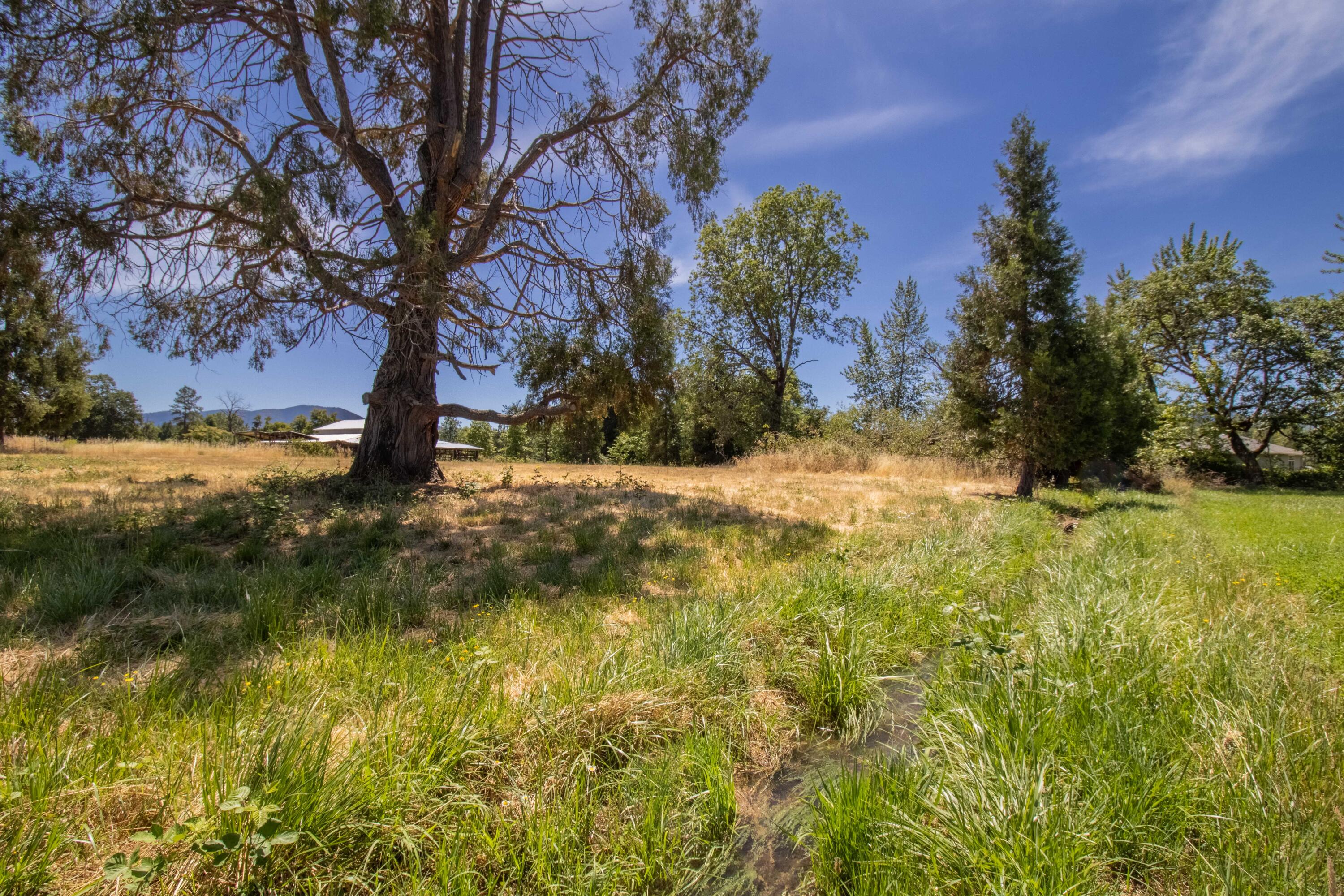 3667 Leonard Road Grants Pass, OR 97527 - Photo 5 of 10 5