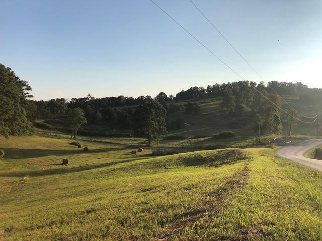 Essary Road Tazewell, TN 37879 - Photo 2 of 25 IMG_2337