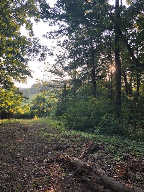 Essary Road Tazewell, TN 37879 - Photo 11 of 25 IMG_2354