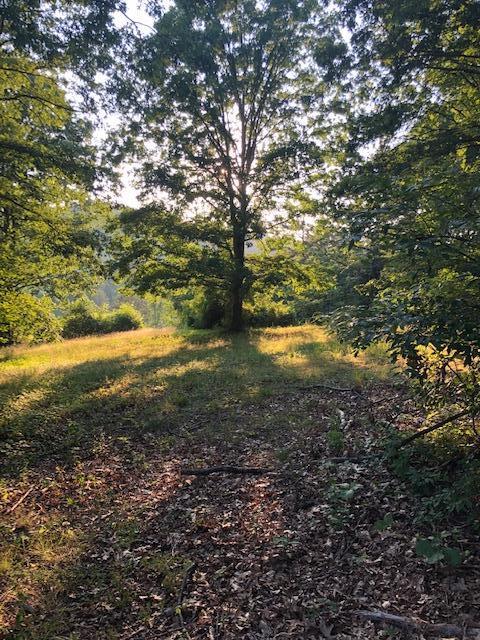 Essary Road Tazewell, TN 37879 - Photo 12 of 25 IMG_2348