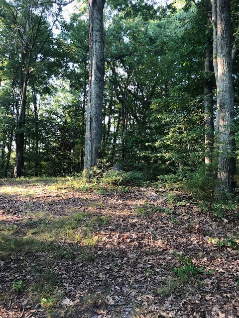 Essary Road Tazewell, TN 37879 - Photo 13 of 25 IMG_2349