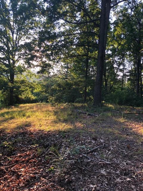 Essary Road Tazewell, TN 37879 - Photo 14 of 25 IMG_2350