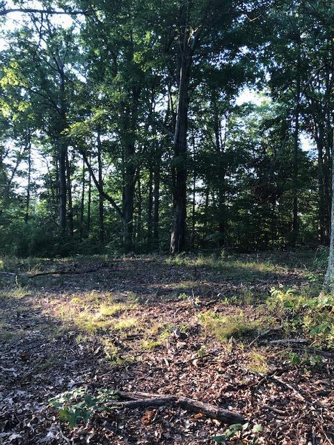 Essary Road Tazewell, TN 37879 - Photo 15 of 25 IMG_2351