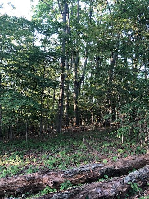 Essary Road Tazewell, TN 37879 - Photo 17 of 25 IMG_2352