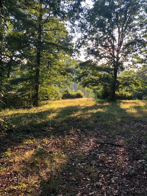 Essary Road Tazewell, TN 37879 - Photo 18 of 25 IMG_2344