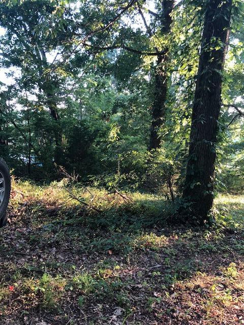 Essary Road Tazewell, TN 37879 - Photo 19 of 25 IMG_2345