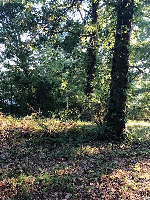 Essary Road Tazewell, TN 37879 - Photo 20 of 25 IMG_2347