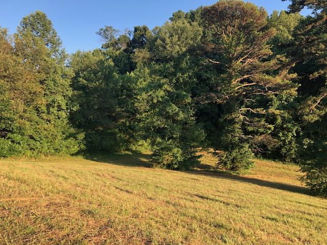 Essary Road Tazewell, TN 37879 - Photo 8 of 25 IMG_2341
