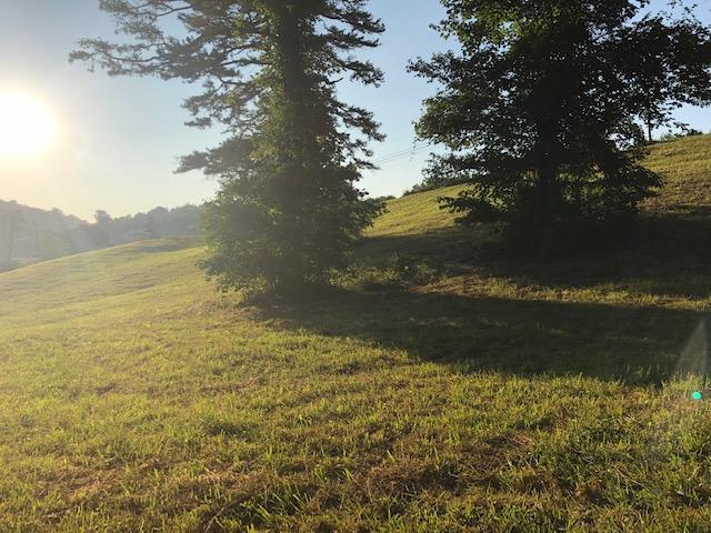 Essary Road Tazewell, TN 37879 - Photo 10 of 25 IMG_2333