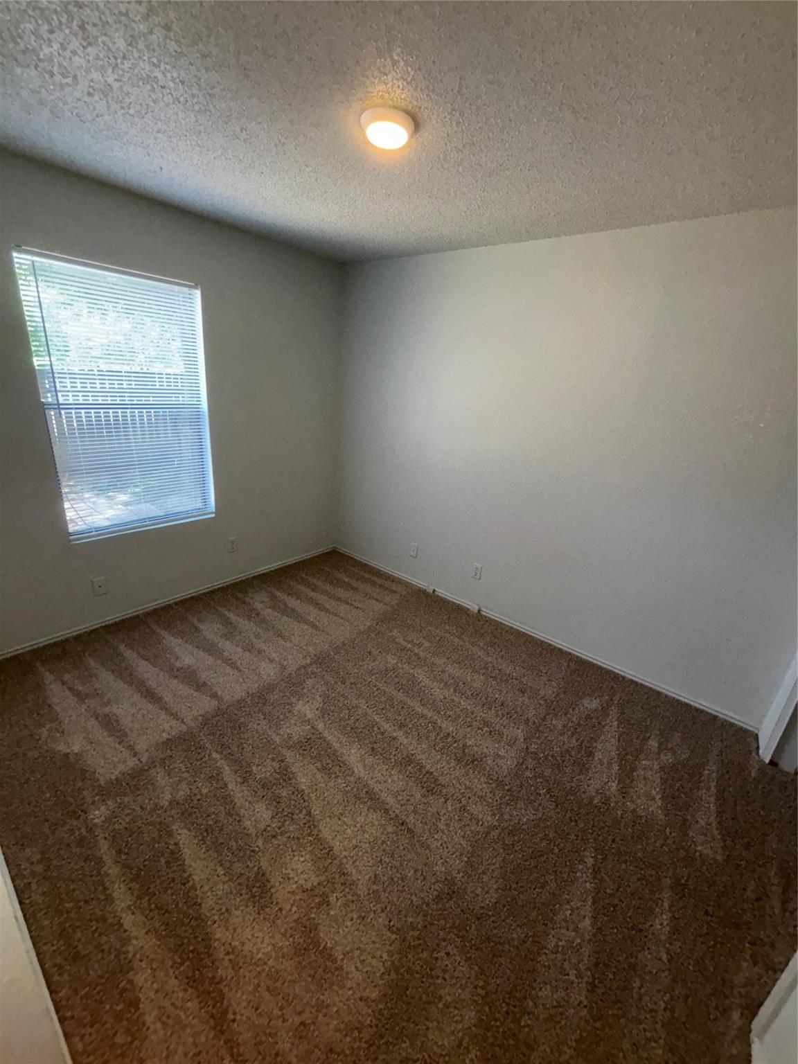 2033 Redwing Way Round Rock, TX 78664 - Photo 8 of 13 Room featuring brown carpet, neutral painted walls, a single window with horizontal blinds, and a flush-mount ceiling light fixture