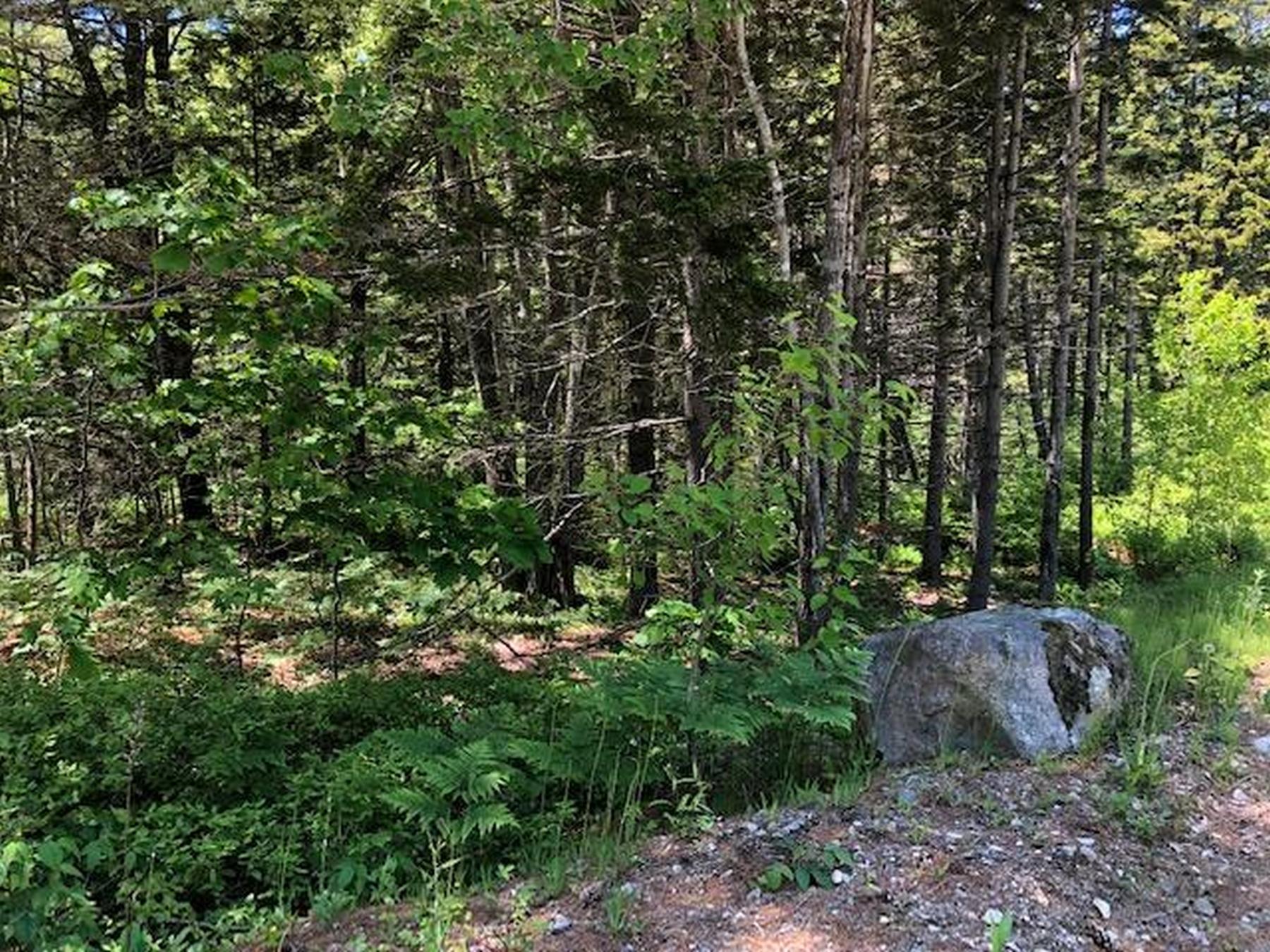 Lot133 A Back Shore Road Round Pond, ME 04564 - Photo 3 of 4 3