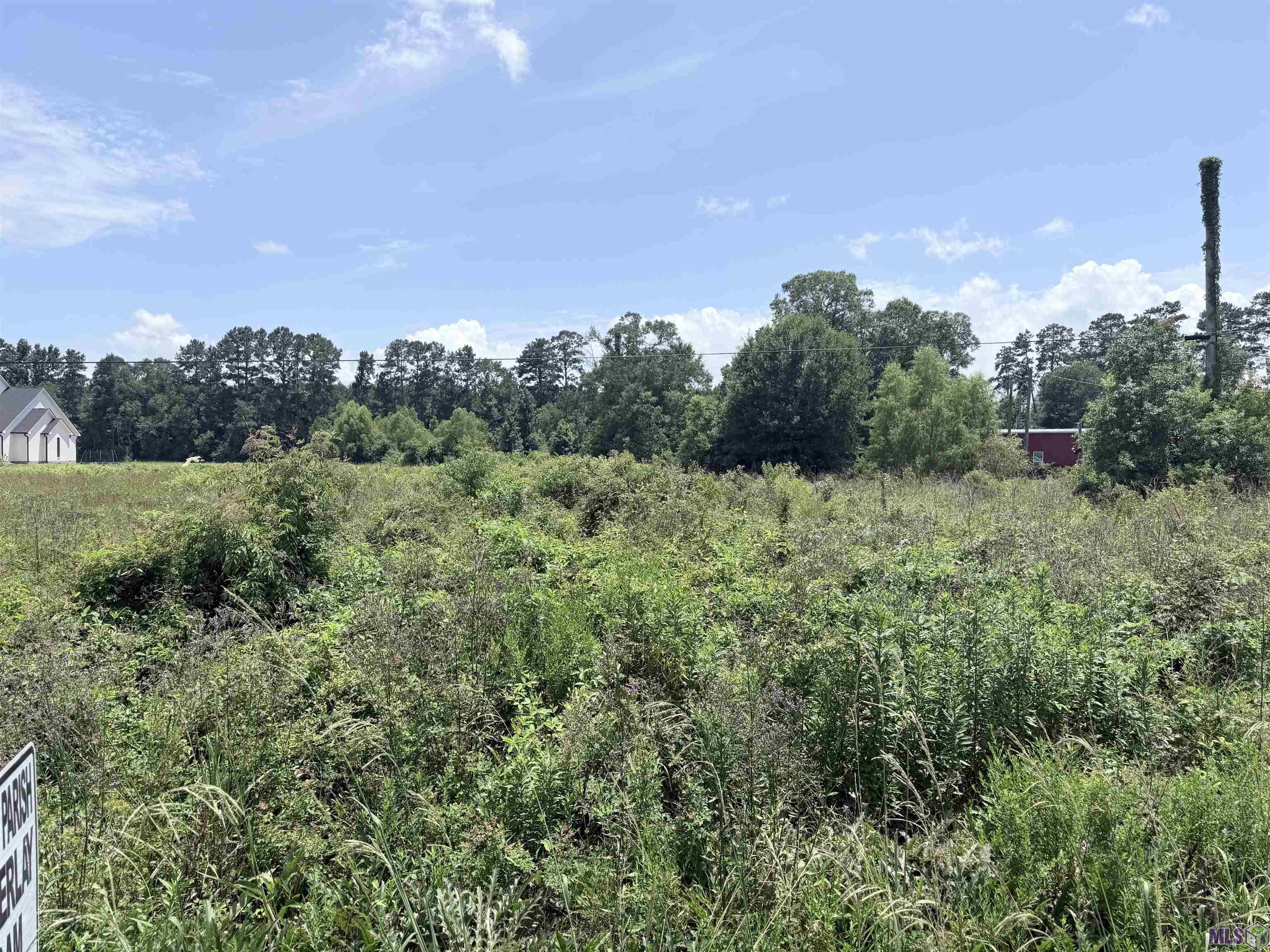 Lot Cc-3 Herman Ernest Road Denham Springs, LA 70706 - Photo 4 of 5