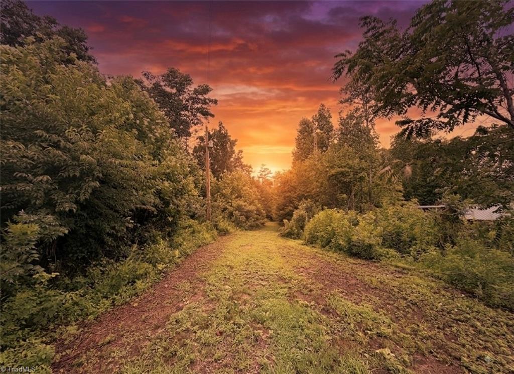 Tbd Billings Hill Church Road Traphill, NC 28685 - Photo 25 of 25 Gallery Image 25