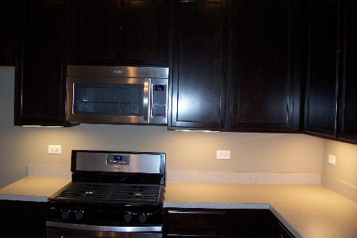 840 Voyage Way Elgin, IL 60124 - Photo 8 of 16