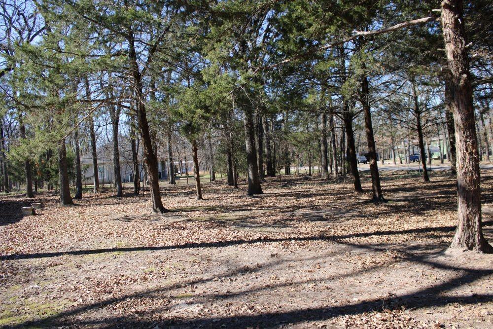 2629 Fox Point Road Quinlan, TX 75474 - Photo 30 of 30 a backyard of a house with lots of green space