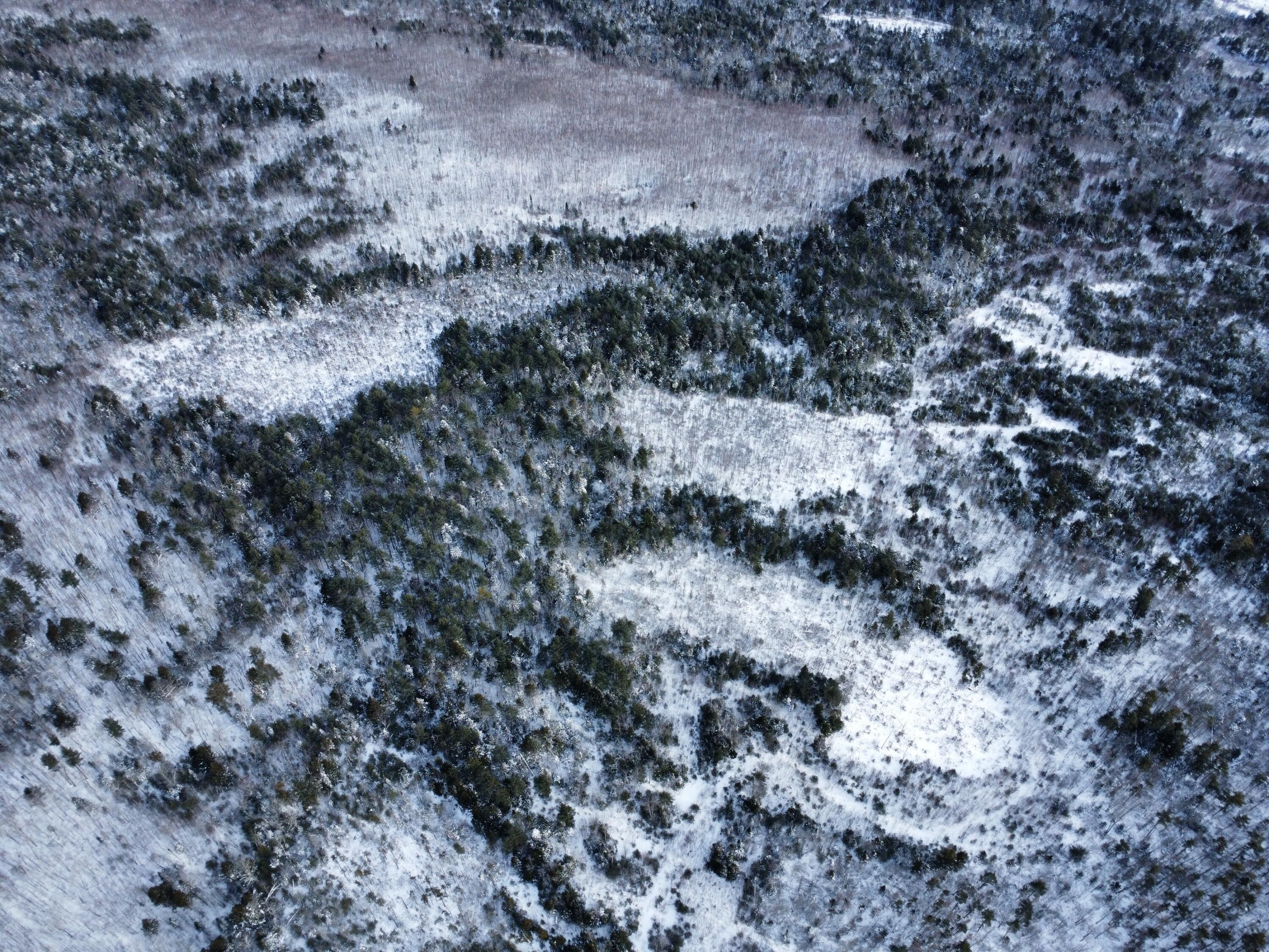 0 Landlocked Liberty, ME 04949 - Photo 2 of 6 dji_fly_20260127_141118_205_176954140391