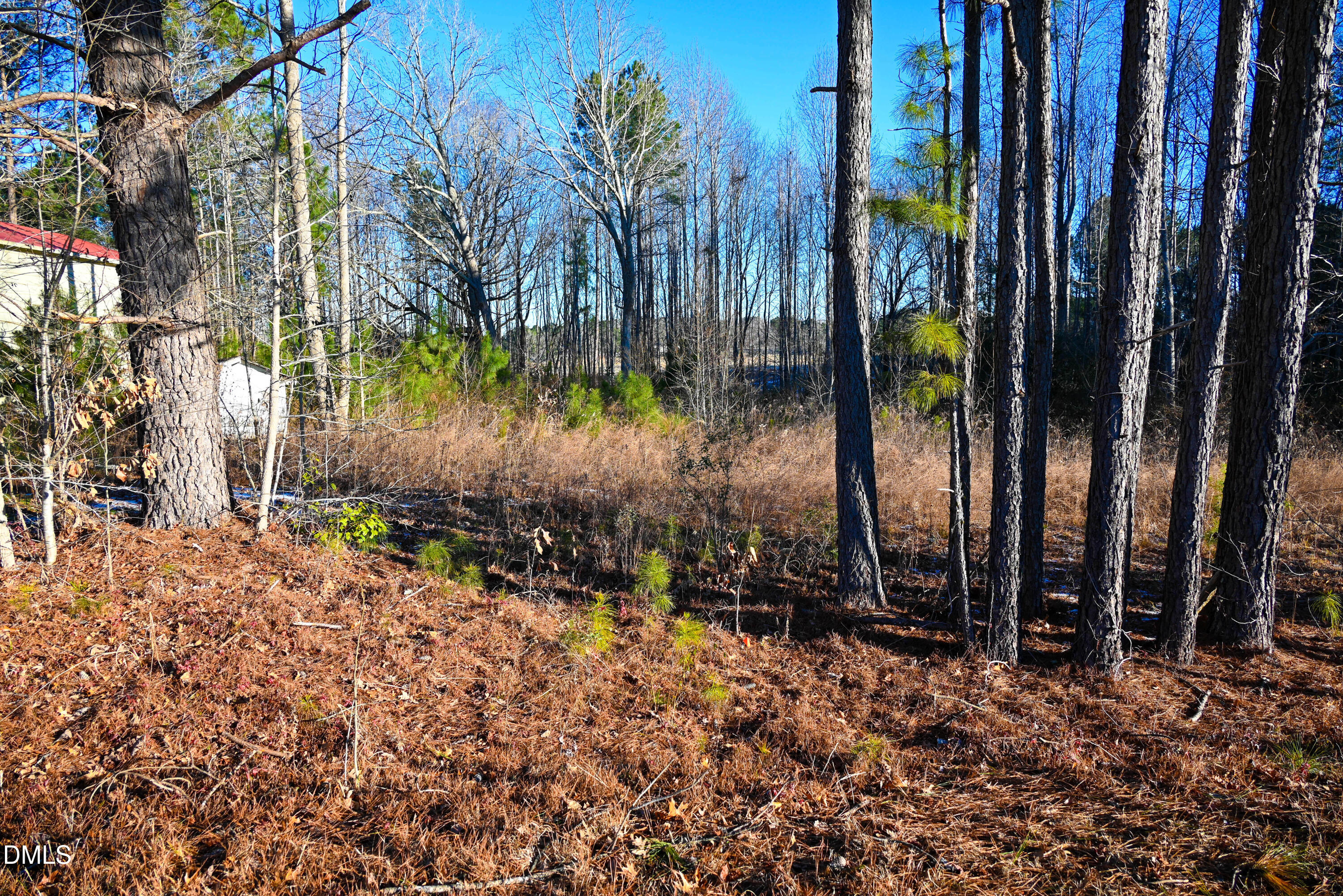 3840 Steel Bridge Road Sanford, NC 27330 - Photo 9 of 9 Pic 9