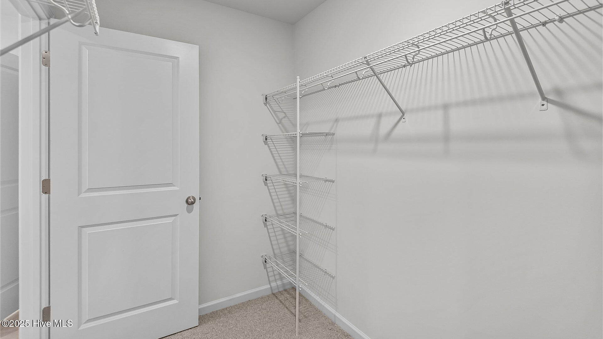 7416 Michelle Road Rocky Mount, NC 27803 - Photo 17 of 26 25-web-or-mls-_DSC7309