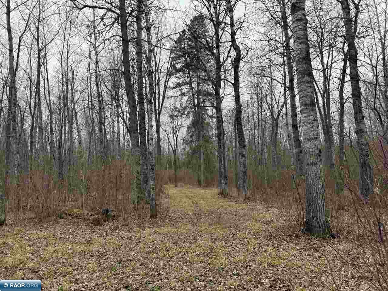 9051 Range Line Road Cook, MN 55723 - Photo 19 of 26