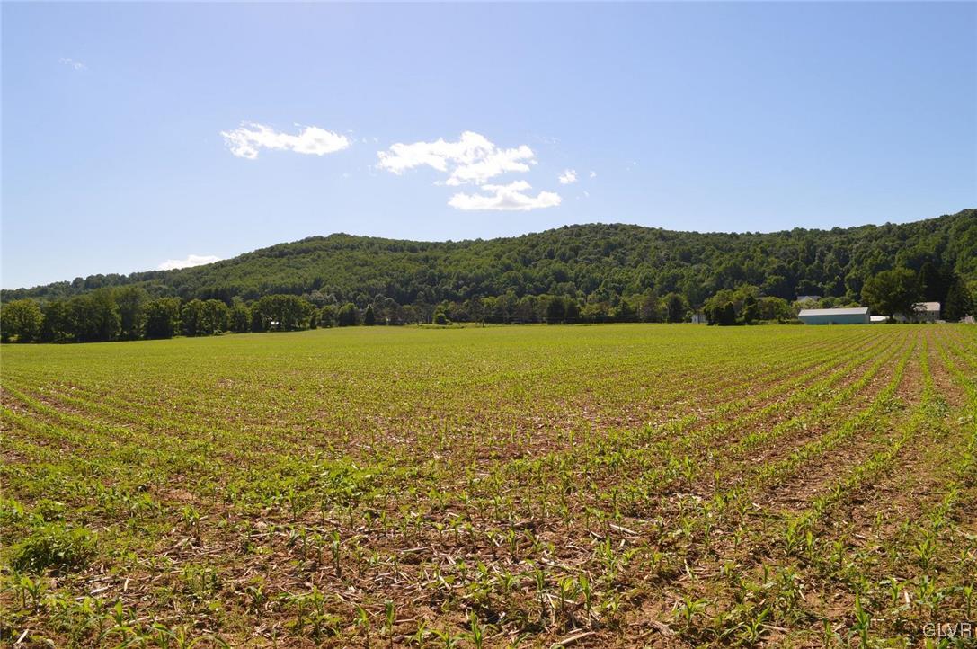 5832 Vera Cruz Road Center Valley, PA 18034 - Photo 13 of 22 Gallery Image 13