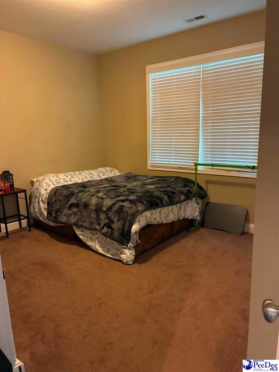 3325 James Turner Road Effingham, SC 29541 - Photo 24 of 35 Gallery Image 24